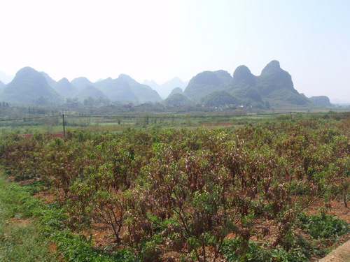 Valley view.